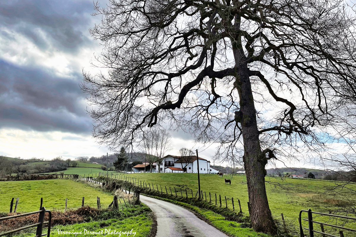 vederouet's tweet photo. 🌶🏳🫑 Basque Landscape 
Veronique Derouet 02/2022
#basquecountry #basque #paysagebasque #pyreneesatlantiques #paysbasque #beguios https://t.co/NPSgvTNFvK