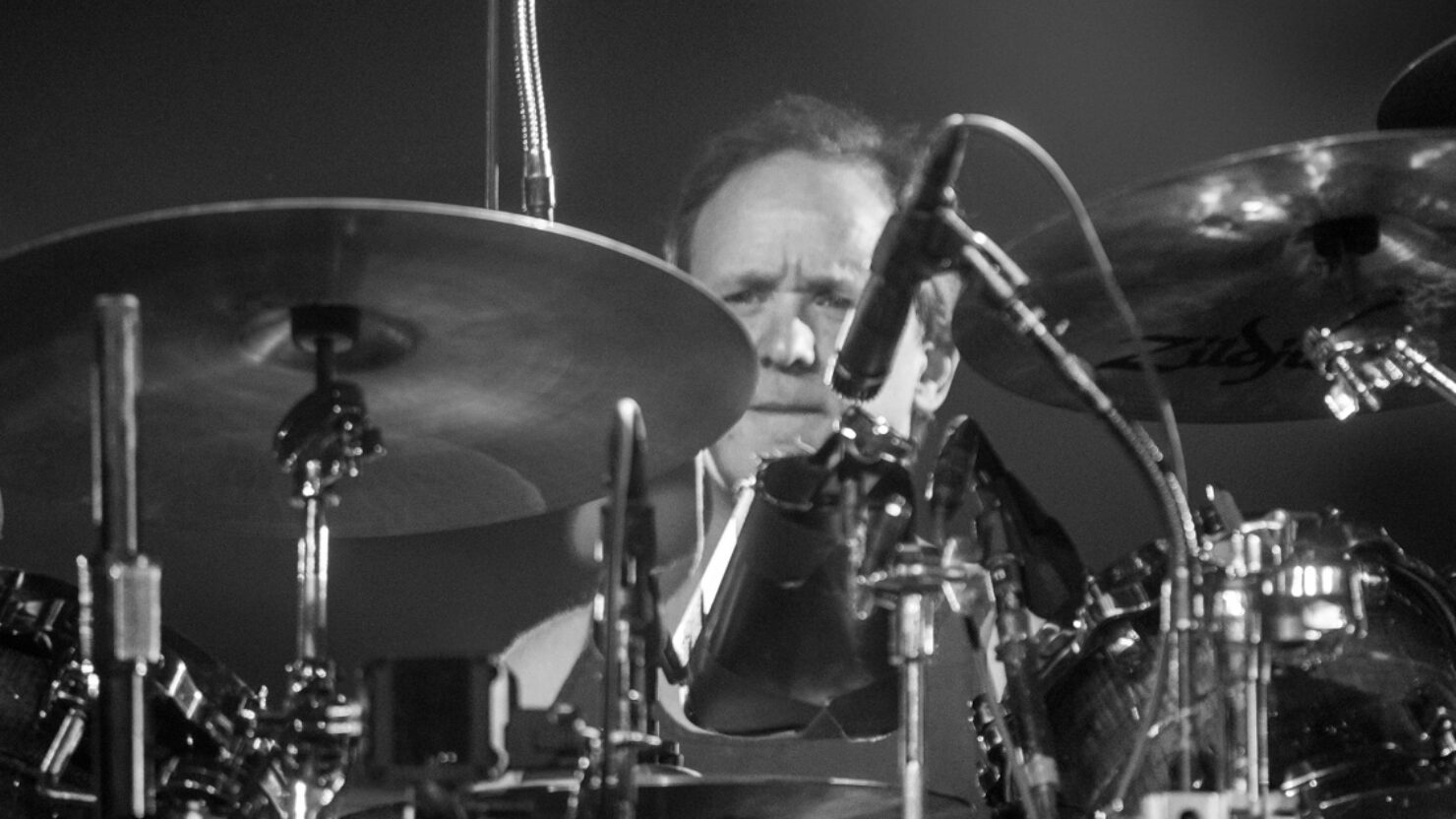 Happy Birthday Jon Fishman: Phish Radio\s \The Errant Path\ Playlist - JamBase  