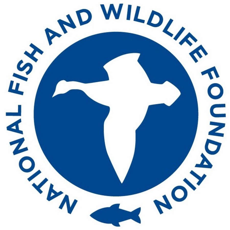 Our first foundation has been selected!

The National Fish and Wildlife Foundation (NFWF). They help fund a wide range of projects throughout the United States, from Chesapeake Bay to the Rocky Mountain rangelands.

Join our Discord for project updates: discord.gg/whshhEKz