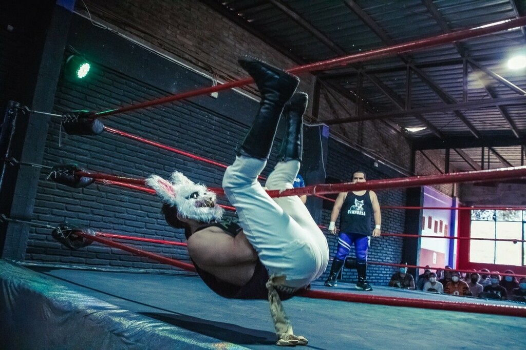 LegionNuevaEra's tweet photo. @herowrestler, @_zack_over_ y @muro.mistahfresh chocarán en una Triple Amenaza 🔥 #LegionLuchaLibre: En Vivo! - 20 de Febrero / 18:00 hrs. / Guillermo Mann 929 - Ñuñoa 🎟️ Compra tus entradas en el link de nuestro perfil 📲 https://t.co/3jYIhtx5k6 https://t.co/ijpFjdw84T