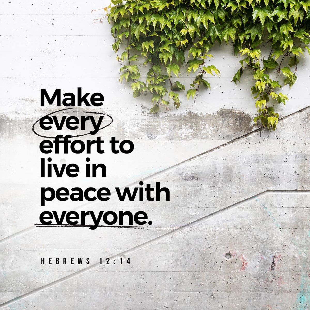 _PeteLaw's tweet photo. #ReviewSaturday! #FantasyFootball and #NFLTwitter
Hebrews 12:14 ESV
Strive for peace with everyone, and for the holiness without which no one will see the Lord.
#Faith #Christ https://t.co/ZtVPa6kB8G