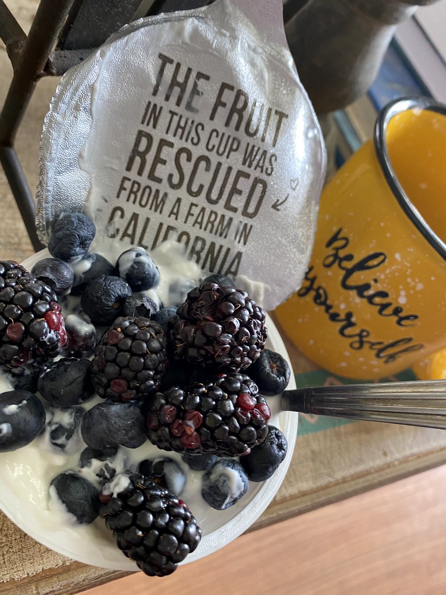 Bridget89244461's tweet photo. Well the Meyers lemons used to make this flavor yogurt were rescued , the blackberries and blueberries not so much~ #TwoGoodYogurt @TwoGoodYogurt https://t.co/0b3uj2WRkq