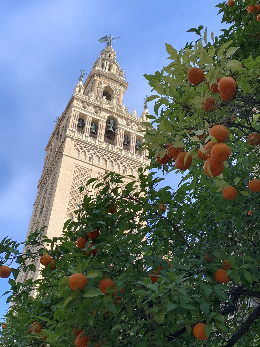 Christophe Chamy tweet media