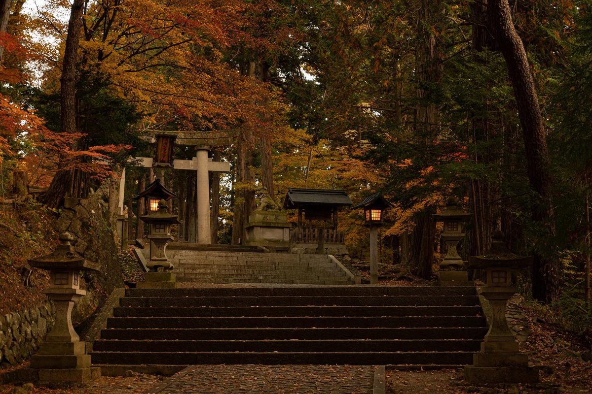 notbeng1's tweet photo. Fall Shrine #photography #Japan #fujifilm #Autumn #fall https://t.co/IgcaSdvKX4