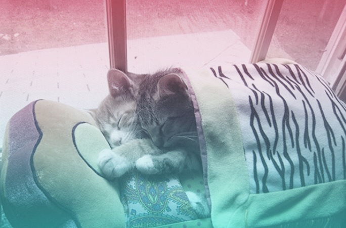 ᅠᅠ
ᅠᅠᅠᅠᅠᅠᅠ    

Otwarcie wypadło wspaniale. 
Mam nadzieję, że każdy z gości był zadowolony i jeszcze do nas wróci. Zwierzątka pousypiały od dnia wrażeń. 
Cała załoga PARFAIT dziękuje za przybycie. 🐾
                  
              #OTWARCIE_PARFAIT   

ᅠᅠ