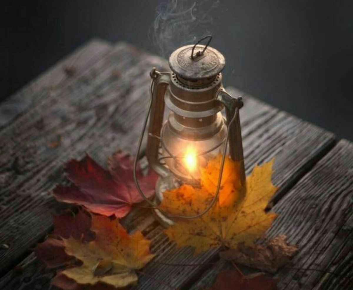 ❣❣

ماعرفت النهايه يوم جيت ابتديــك.
مبتديك المحبه في قصيد الـــسلام
.
راحة الشوق فيني بين هذيك وذيك.
لين شفت المواصل مثل كسر العظام ...

☁️☁️❣️