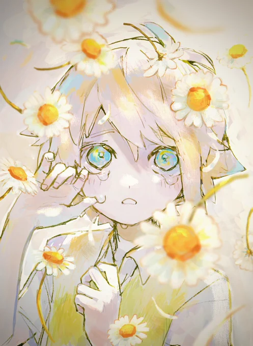 day's eye 