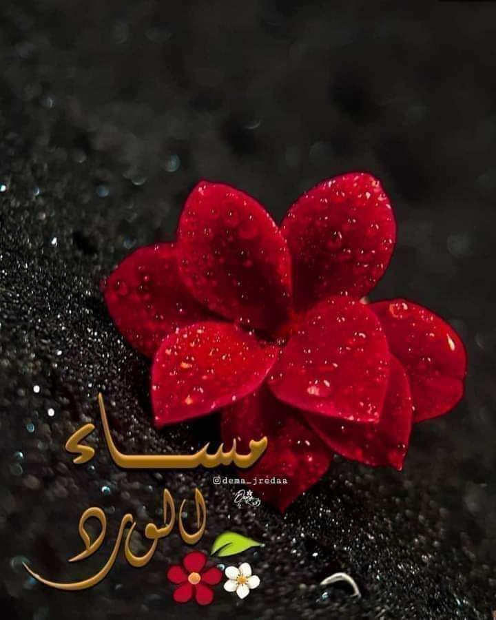 انت الذى اذا مرت روحك على ارض قالحة 
#انبتت
