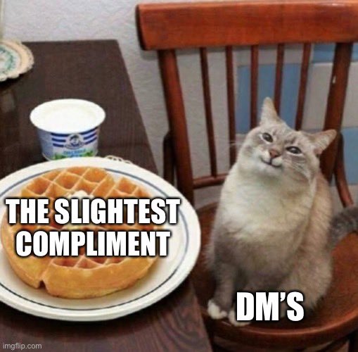 It costs $0 to make a DM’s day. 😊
#DnD #ttrpg #pathfinder