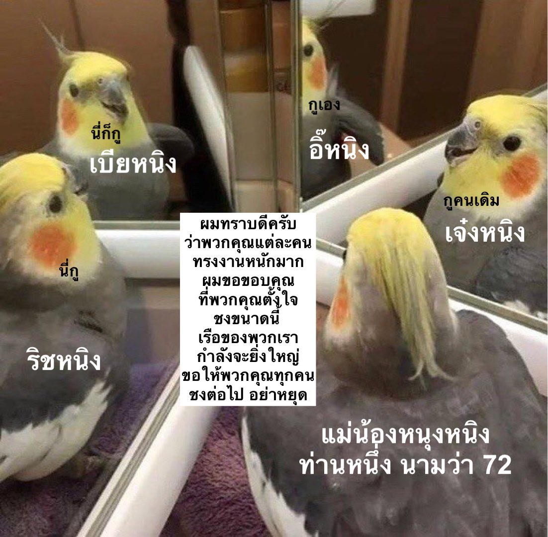 — 72 tweet media