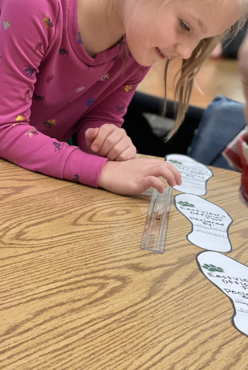 2nd Graders love exploring measurement!  📏