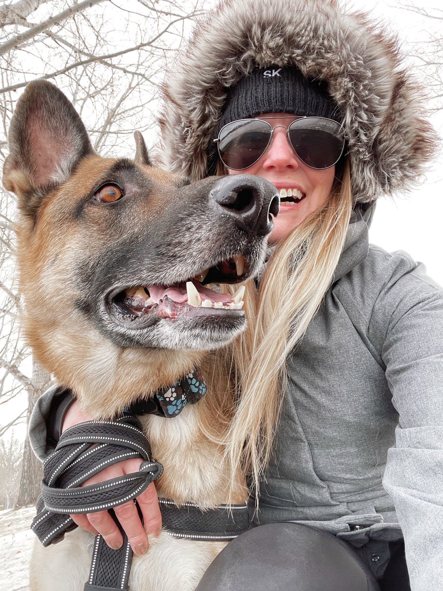 candace_toma's tweet photo. Moments after he attempted to pull me through a chain link fence.
#StillStanding #GSDProblems #CatchAScent #Gone https://t.co/fLCuACfSVv