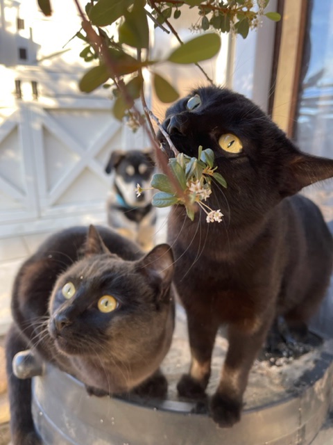 Charlie Beach Farm tweet media