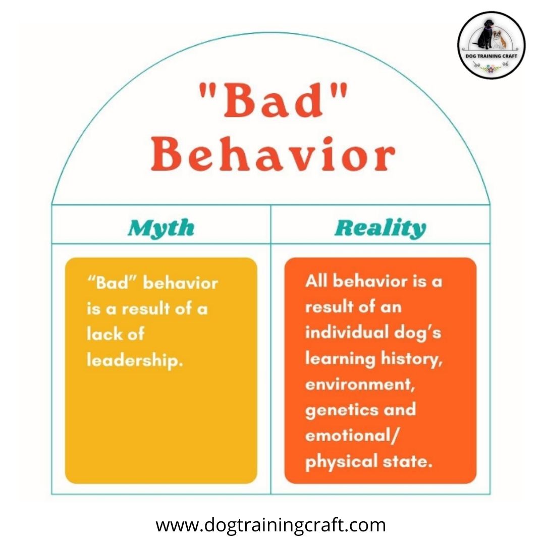Myth Busting Saturday. 
Visit – dogtrainingcraft.com 
#myth #mythbustingsaturday #dogs #pets #doglove #training #dogtraining #advanceddogtraining #USA