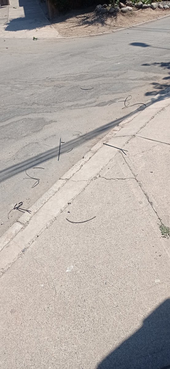 WolfosForces's tweet photo. Hasta cuando las empresas de telecomunicaciones se les permite dejar la cagada cuando hacen instalaciones? Hoy @mundo_pacifico rompieron ramas de un árbol y dejaron cables colgando y basura. Amenazaron a mi viejo por pedirles que tuvieran cuidado. @subtel_chile @ReclamosSubtel https://t.co/4ZXKwYEKkK