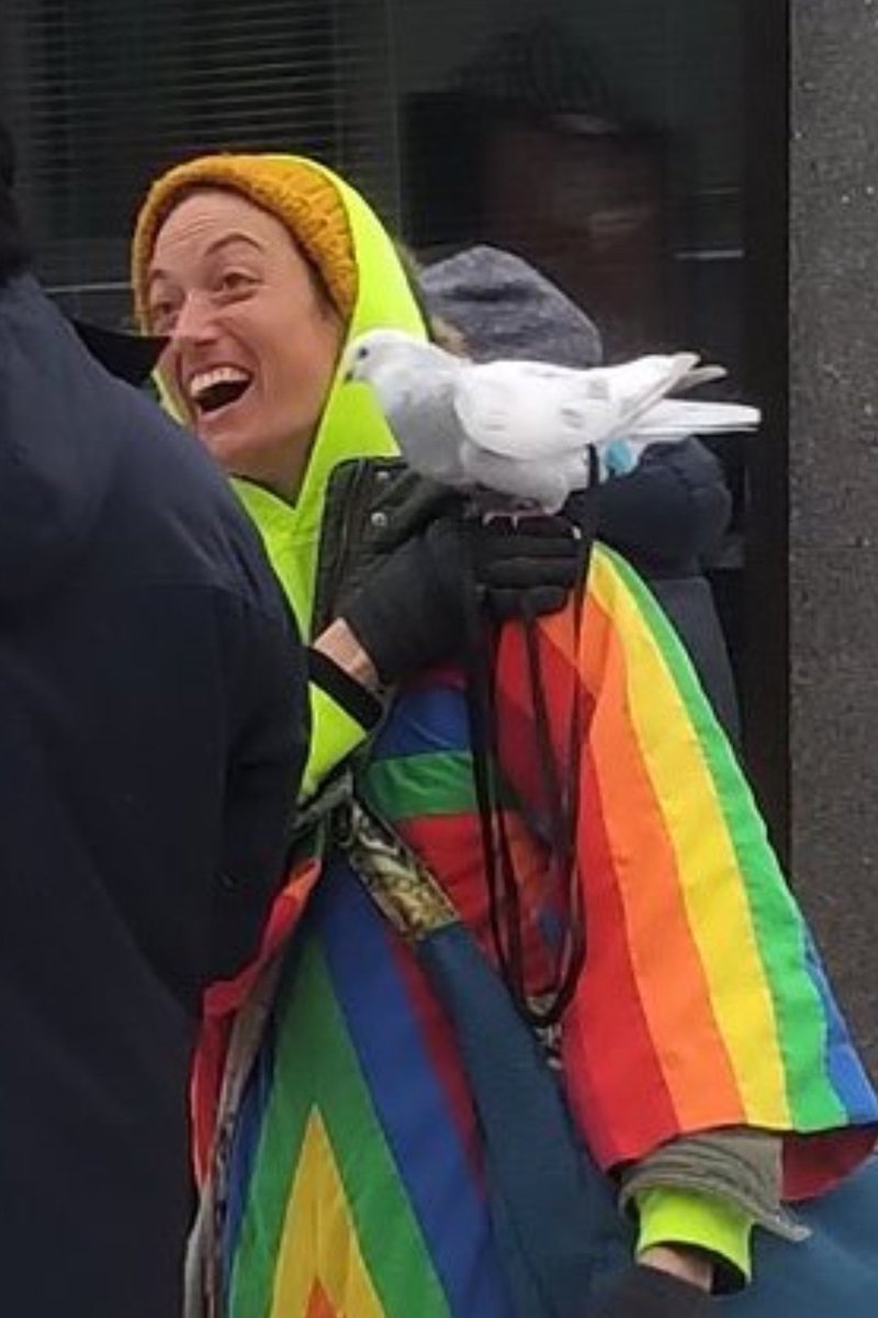 irishriley30's tweet photo. @JeffreyLuscombe I knew @PierrePoilievre would show up https://t.co/KtKldWmA4J