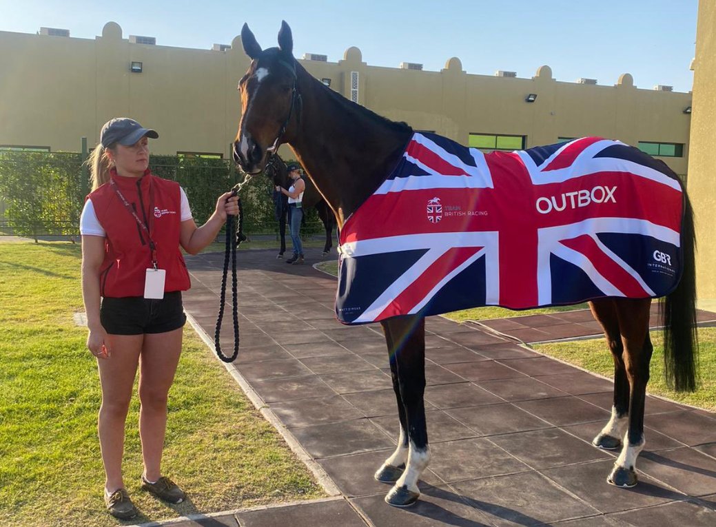 🗣️ “I am delighted for Hambleton Racing who are such great supporters of the yard and are having their second big winner in Qatar after Maystar won the Al Rayyan Stakes for us in 2019.' OUTBOX (GB) wins in Qatar! Full story ➡️ greatbritishracinginternational.com/news/british-s… #TeamBritishRacing🇬🇧