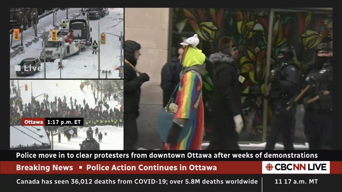 “Just as an aside, this is a woman with a pigeon on her head” - @davidcommon 

#ottcity #ottnews #OttawaOccupied #OttawaSiege