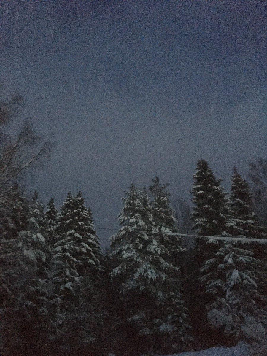 RistoLauhanen's tweet photo. Pohdin, että jos raivaa metsän pelloksi aiheuttaa luontokatoa, mutta jos raivaa metsän asuntoalueeksi tai tienpohjaksi, niin ei aiheutakaan luontokatoa? @MaasTul https://t.co/dzWwPELb07
