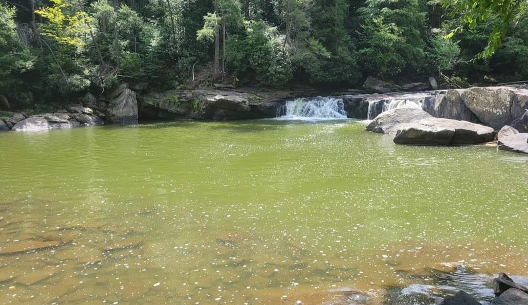 #DeepCreek