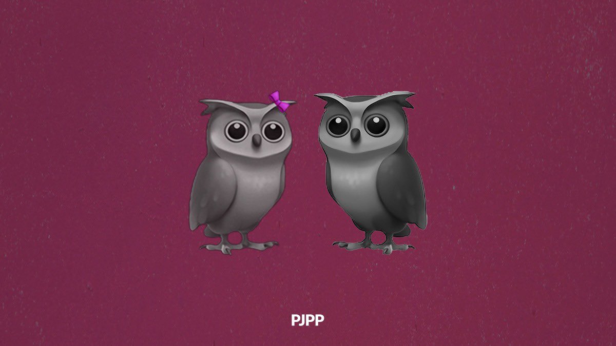 🦉⚡️🎀 Ladies Bring it On! 🎀⚡️🦉

Our exclusive fermale drop is planned for launch towards the beginning of April and will feature 3333 beautiful Lady Owls. 

Who’s going to mint the unique, ultra rare ones? 👀 Hop on Discord to learn more and get yourself a <a href="/PJPP_NFT/">PJPP Old Handle (Weird but Smart)</a>. 

#PJPP