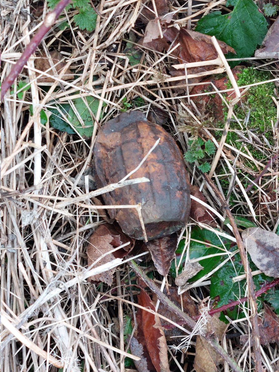 GridRef14_18's tweet photo. Weather improved from yesterday's, (remember to put waterproofs on before rain starts) horrendous wet and windy weather. Great walk today and a few remnants found. https://t.co/hQSO9S8CAA