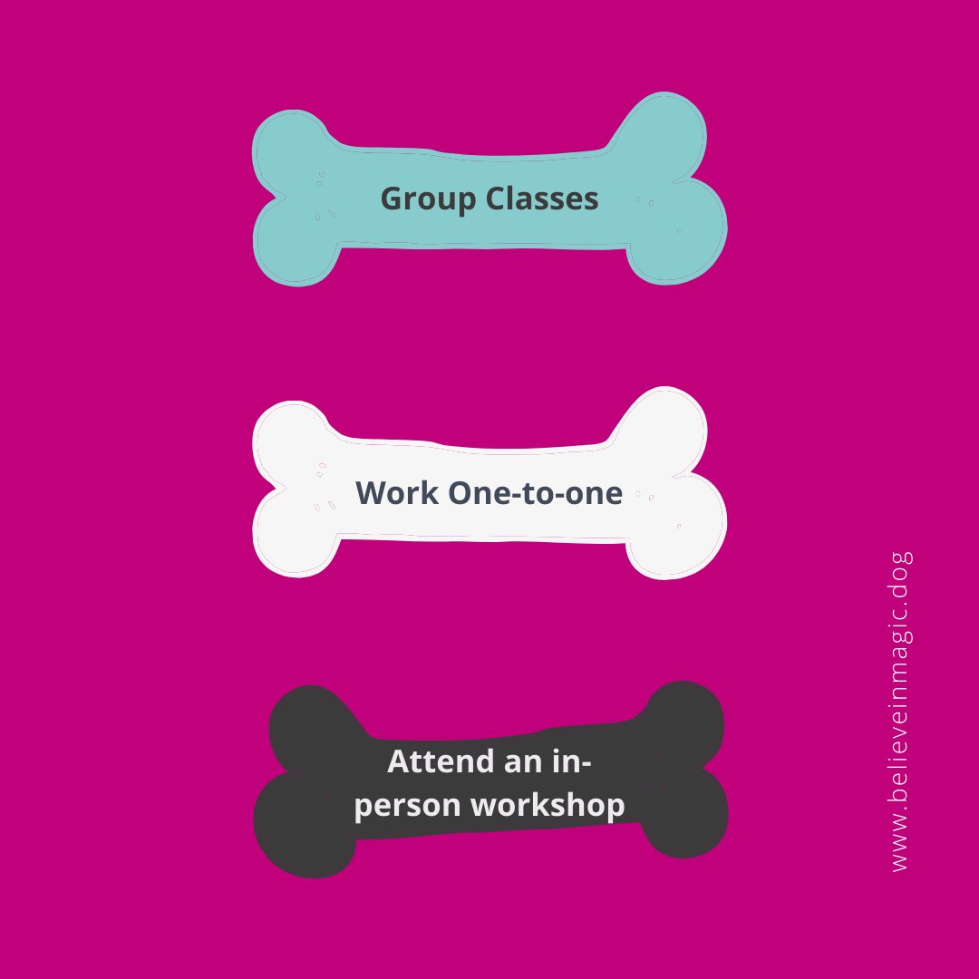 believeinmagicd's tweet photo. We have group classes, one to ones and this year NEW In-Person workshops held in the beautiful New Forest. 

If you'd like to find out more information have a quick look at our website https://t.co/R8rB7xaiGh https://t.co/Eeos8BLslm