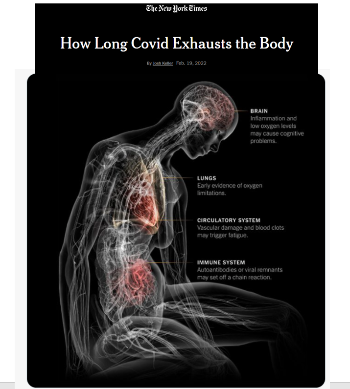 apresj20's tweet photo. #CovidLong EXCELLENT article dans le @nytimes du journaliste @joshkellerjosh qui souffre lui-même d'épuisement et brouillard cérébral depuis son infection de janvier 2021.

Extraits traduits en français dans le fil ci-dessous A LIRE!🧵⬇️
#ApresJ20 #DocTocToc https://t.co/TLaCTHZzUu