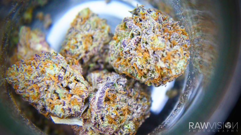 FatManAnt's tweet photo. Animal Spase at 31% THC. Only at #GivingTreeDC! Open 11-10 today! https://t.co/yE422sF24D