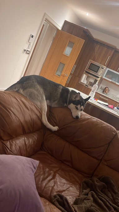 @stuartlfoxham This is my Loki as I type! 😂 https://t.co/rq3YpzQ4MI<a class="tags" target="_blank" title="On Twitter" href="/?out=eyJ0eXAiOiJKV1QiLCJhbGciOiJIUzUxMiJ9.eyJpYXQiOjE3MjM3Mjk4MTMsImlzcyI6InR3cG9ybnN0YXJzLmNvbSIsIm5iZiI6MTcyMzcyOTgxMywiZXhwIjoxNzU1MjY1ODEzLCJyZWRpcmVjdF91cmwiOiJodHRwczovL3R3aXR0ZXIuY29tL3N0dWFydGxmb3hoYW0ifQ.rWi240pvN-Y1aIkt7DQPEicfyANaOUHadJM5C7hp6YzaXhqpP9_GkCZ_q_--fZQnz5snPYcI4EO6uWOMF-O9lQ">@stuartlfoxham</a><a href="/tag/onlyfans"class="tags"><span>#onlyfans</span></a>