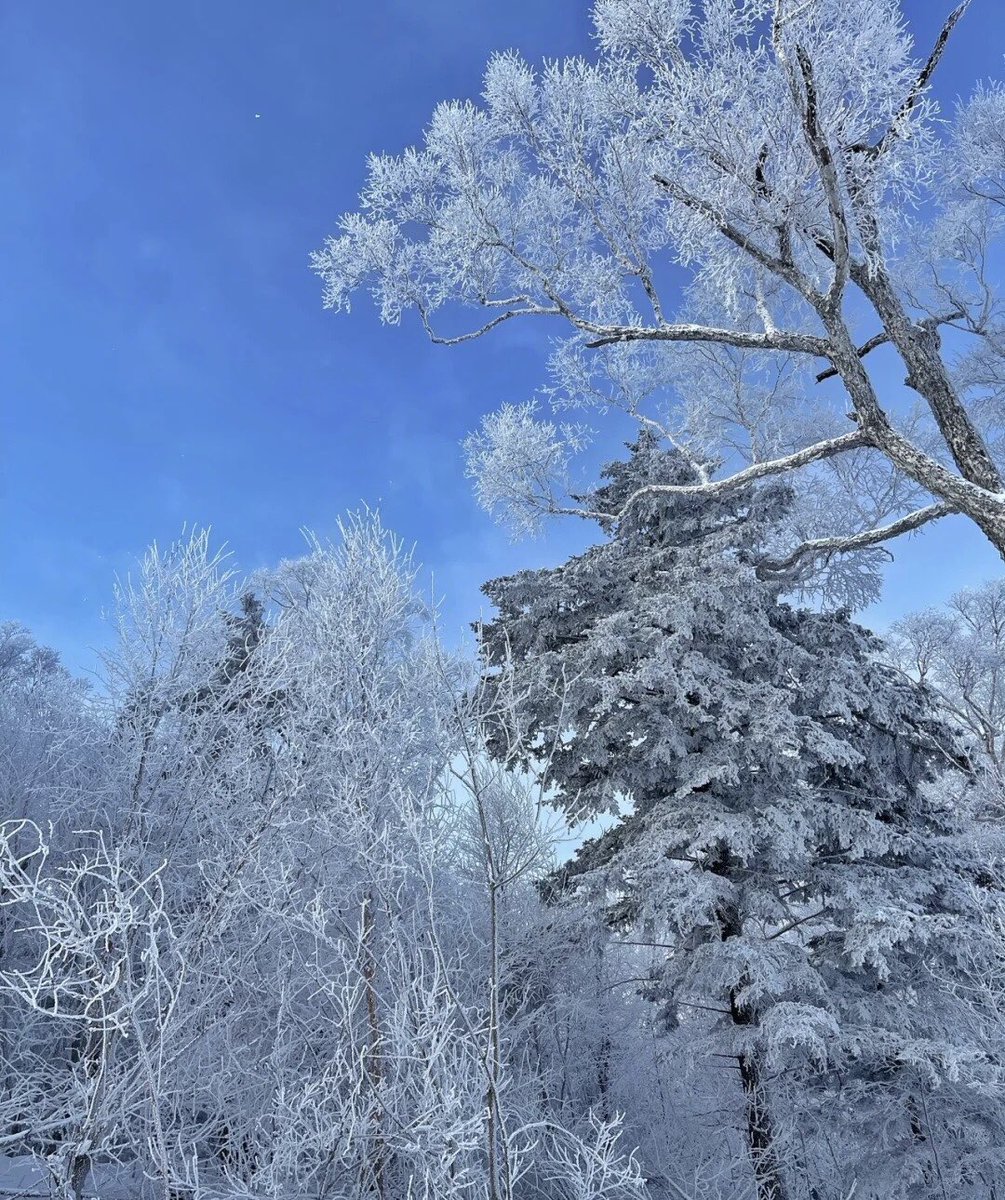 ALSmgs's tweet photo. The joy of winter https://t.co/j51GZjUmjm