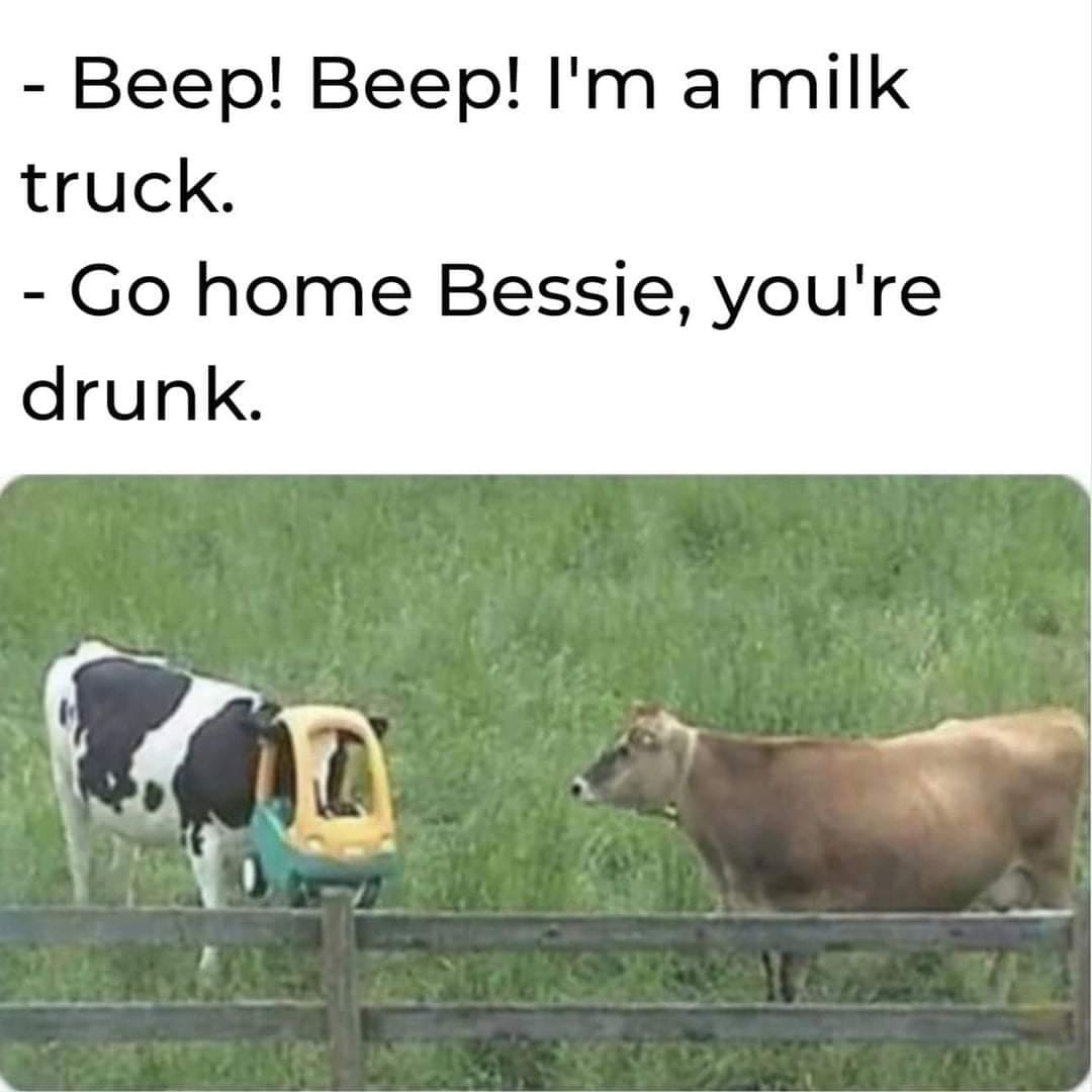 ThatsJustPunny's tweet photo. Apparently, we have a #FailureToCommunicate when I asked Bessie about #CowTippin🐮 https://t.co/B6o2y7PcxF