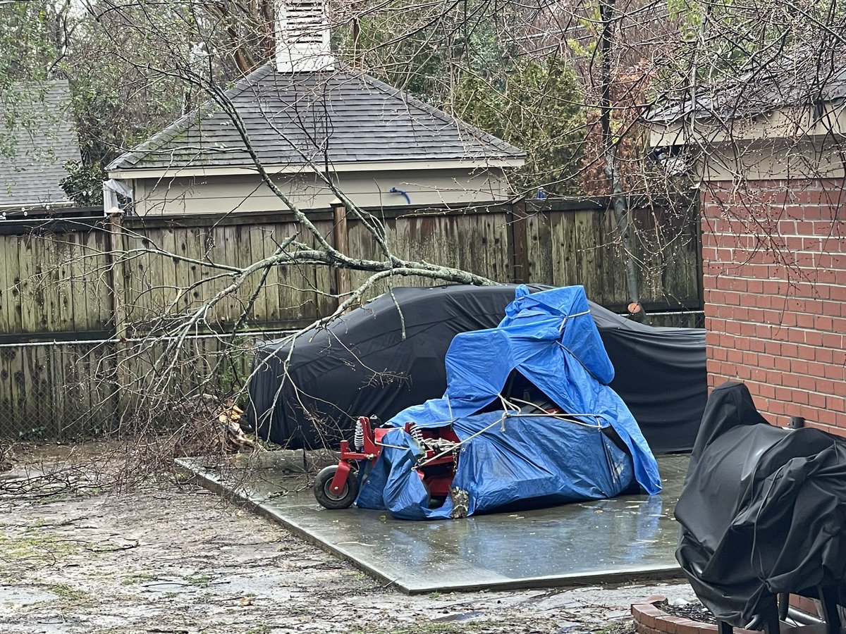 MemphoNewsLady's tweet photo. Limb fell and pierced thru the sunroof of our neighborโs car when the line moved thru. Same folks went more than a week without power after the ice storm. Told them theyโre due for some good luck.๐๐ป#memwx #memwind https://t.co/ZneyaOiOv5