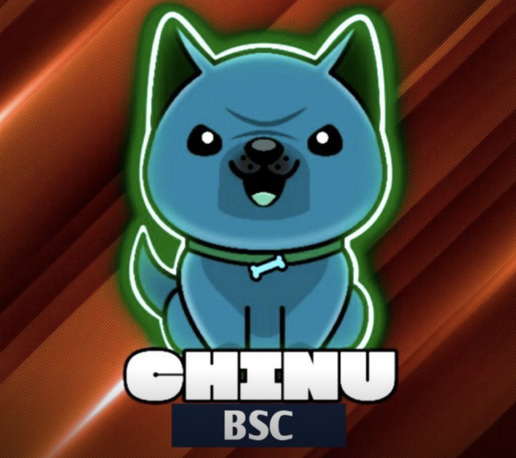 damanmyman's tweet photo. @1goonrich @1goonrich this little fucker bout to moon bro. This that kind of #BSCGem #CHINU #ChinuArmy https://t.co/KH7GEFVKR2