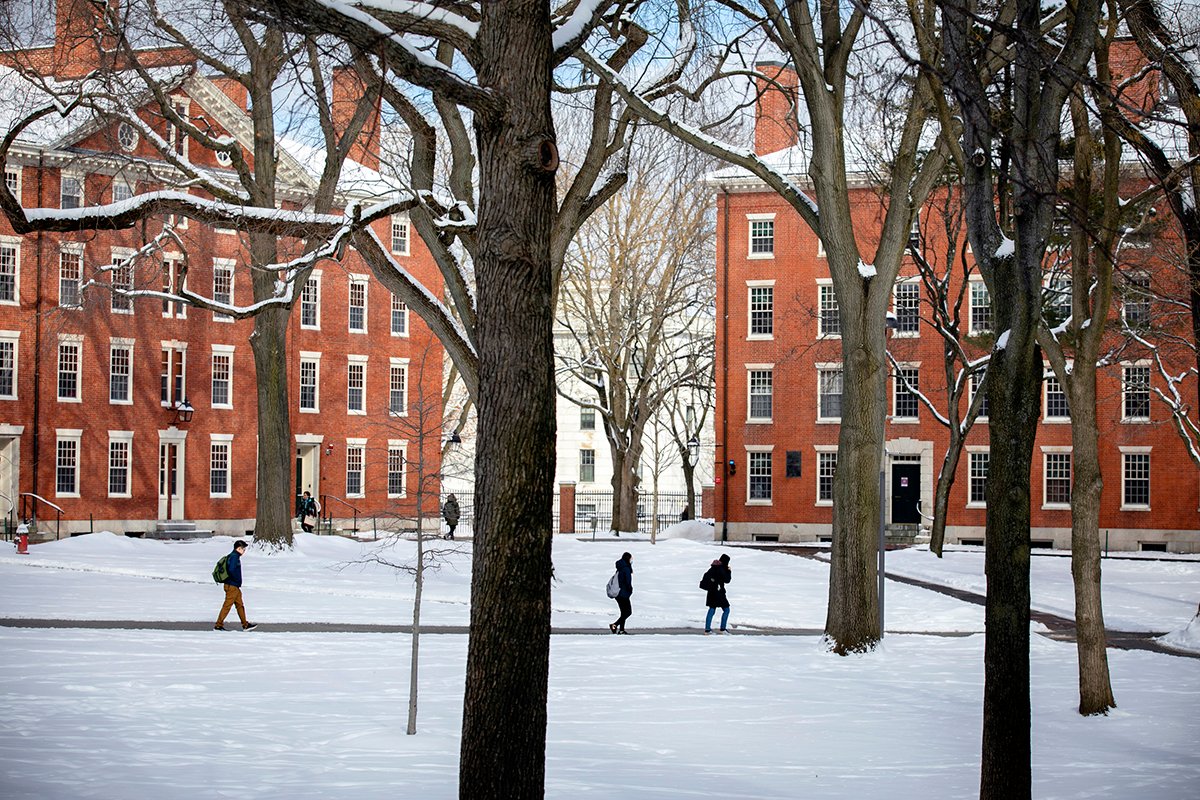 Harvard Campus Winter