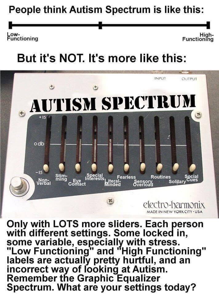 Autism Spectrum

#ActuallyAutistic