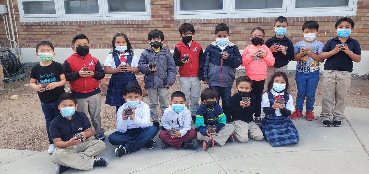 Rmalvarez10's tweet photo. My little stars were so excited to learn about how to plant plants🪴 and the life cycle of a butterfly🦋. @LaFePreparatory #mykindersareawesome #science https://t.co/i6kpSvYnPo