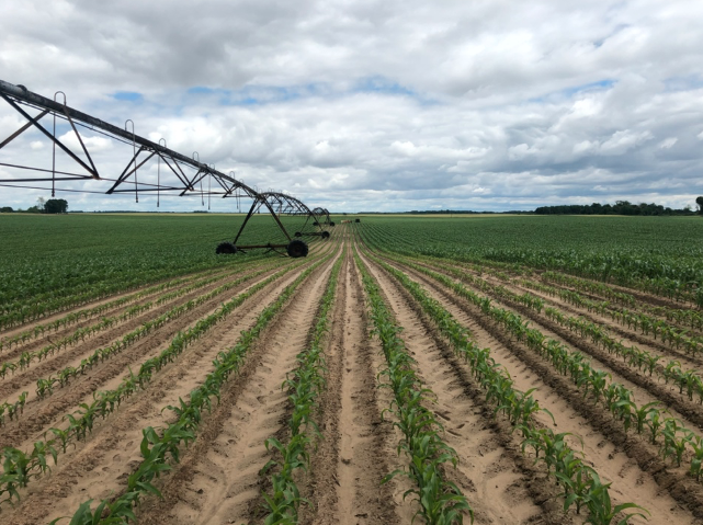 “I am telling you here, and I am truthful – we went from 160 bushels per acre overall average to over 210 overall average overnight." 

Farmer Tommy Young saw a jump in yield after controlling nematode attacks. Learn more about the steps he took: bit.ly/39OQdrR