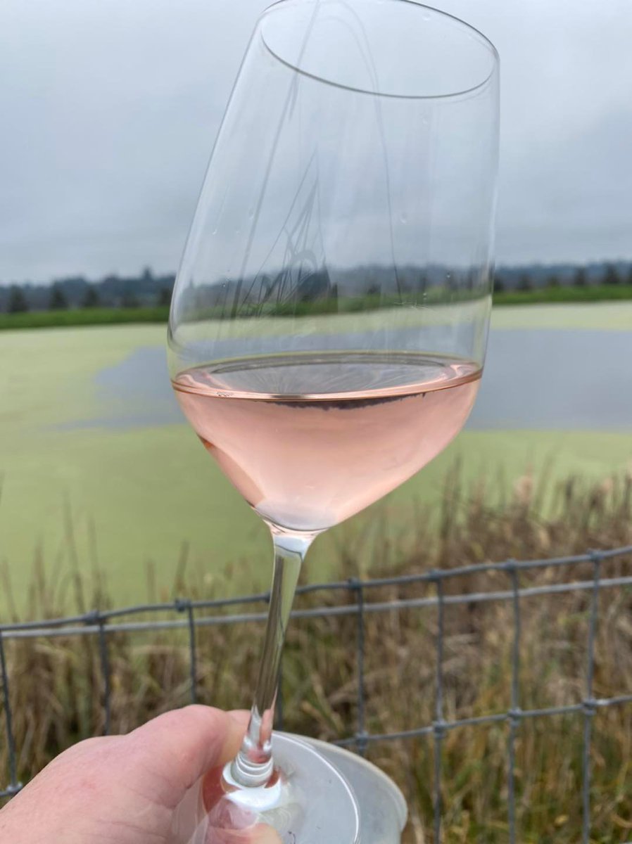 This week we filtered and bottled our 2021 Endless Crush Rosé. The way we filter our wine is very eco friendly and very gentle. Also it’s a closed system so virtually no oxygen gets in helping to preserve the beautiful colour of the #rosé.😍 

#Winemaking