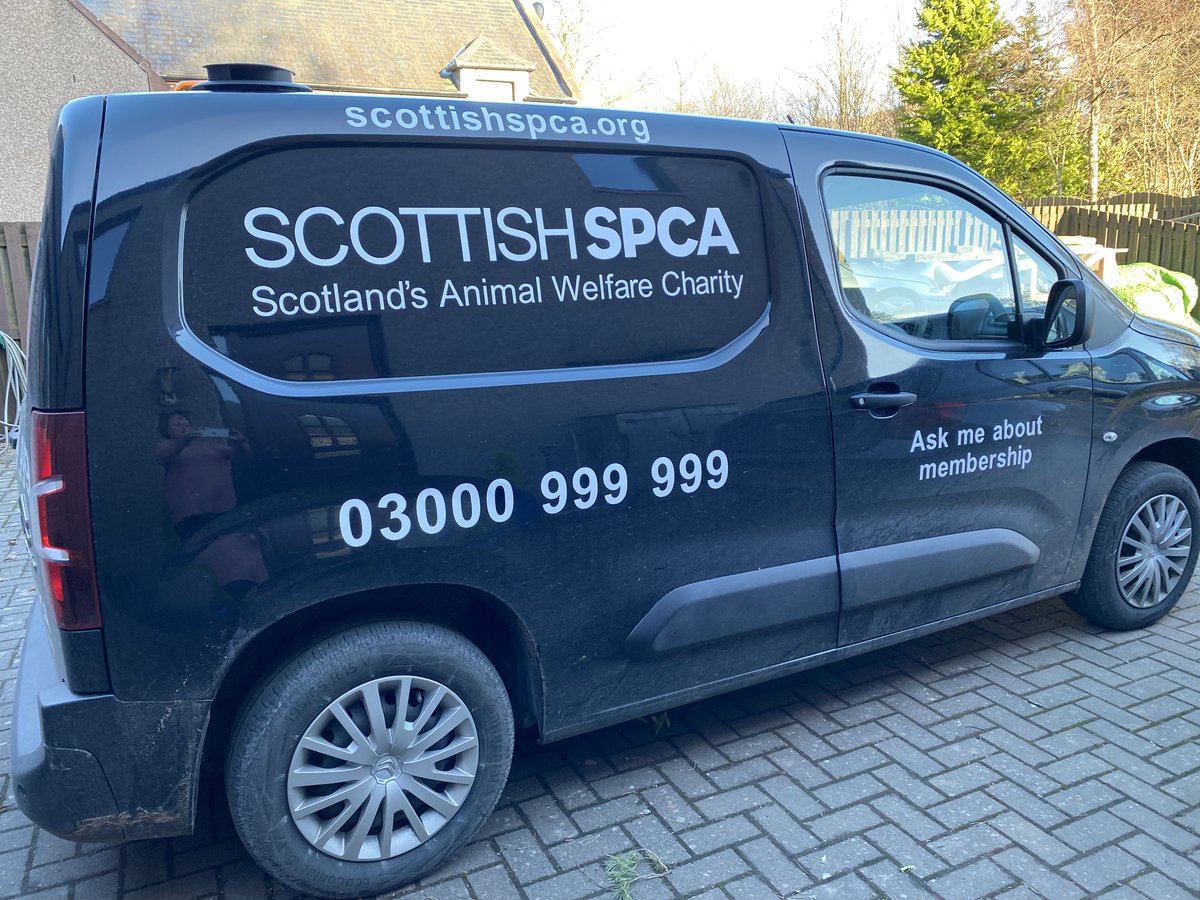 Laura Allison tweet media