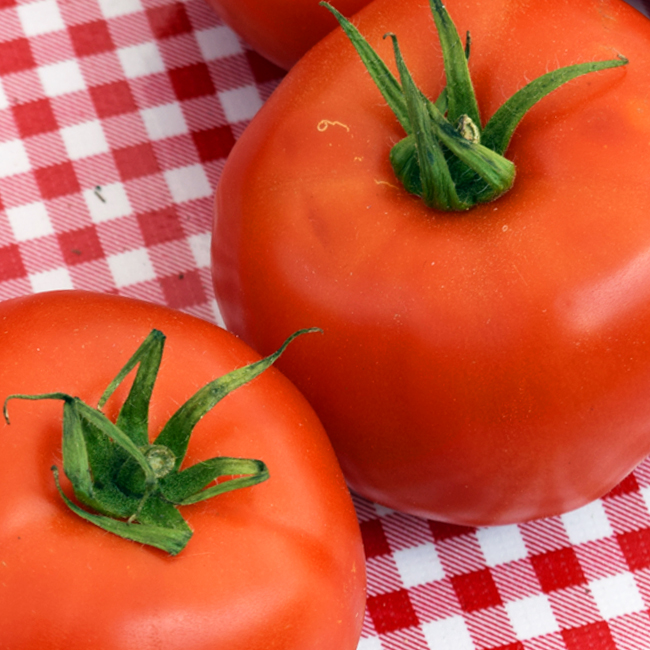 JerseyFreshNJDA's tweet photo. Did you know that New Jersey ranks 3rd in the nation in the production of both spinach and tomatoes!?! 
#thankyouNJfarmers #JerseyFresh #StayLoyaltoLocal https://t.co/WGEkBt2QMY