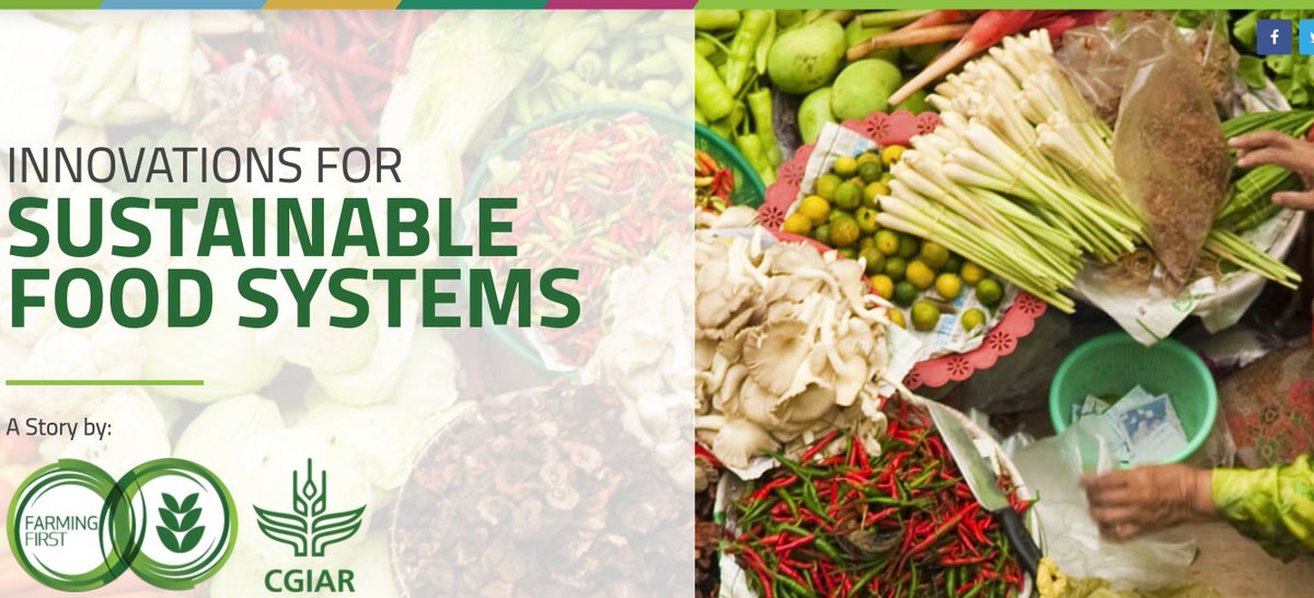 farmingfirst's tweet photo. Sustainable food systems play a crucial role in meeting the #GlobalGoals, from ending hunger to mitigating #ClimateChange.
Remember our campaign with @CGIAR? We celebrate some of the innovations involved in building #SustFoodSystems. https://t.co/KxGpQytyrQ