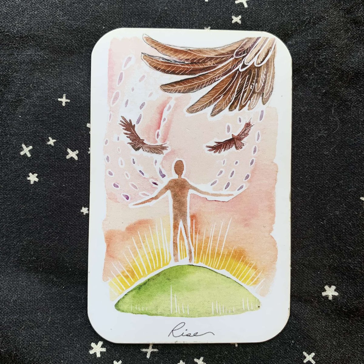 TarotByGraham's tweet photo. Card of the Day: Rise
It's a new day, a new dawn. Rise up and greet it. Especially if you've been going through some darkness or uncertainty, embrace this beginning of a new chapter.
#tarotbygraham #tarot #oraclereading #rootsandwingsoracledeck #minireading #cardoftheday https://t.co/tzd1WeUfek