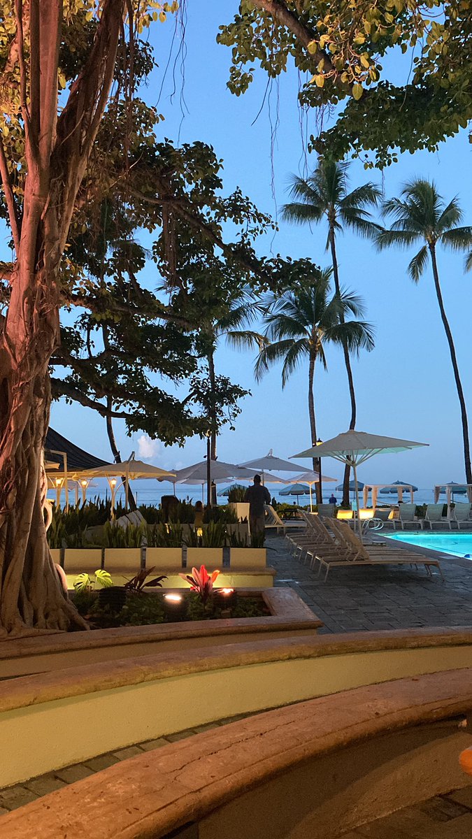 Tracey🌸 tweet media