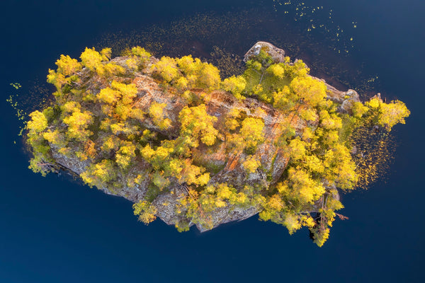 The importance of trees and #forests in our lives cannot be overstated — from cooling our climate to delivering water deep inland, their roots touch everything. But this list of tree facts may surprise you!🌲😃 onetreeplanted.org/blogs/stories/…