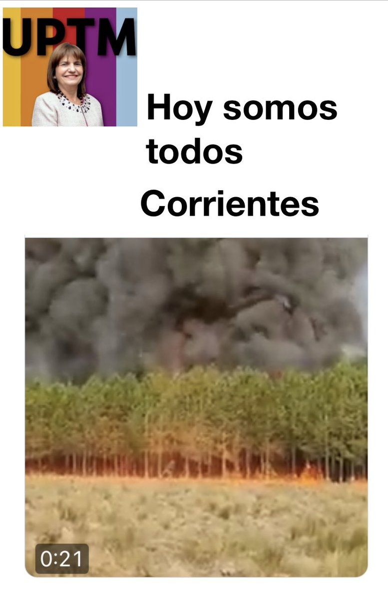 Hebe Vazquez Viera (@vierahebe) on Twitter photo 