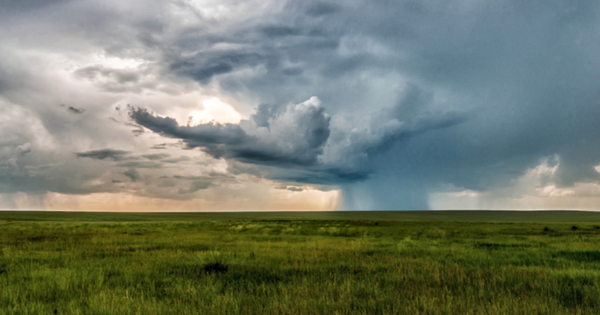 Vrijdag verwachten we stormachtig weer met zeer zware windstoten. Treinverkeer ondervindt hinder en zal vanaf 14u stilliggen. Het advies is om de reisplanner in de gaten te houden en indien mogelijk morgen niet te reizen. Lees hier meer: prorail.nl/nieuws/storm-e…