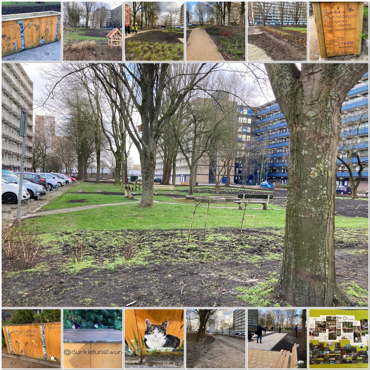 RoelkeHNienhuis's tweet photo. Vanmiddag was de opening van het CasPoMorpark in Paddepoel. Prachtige samenwerking tussen bewoners, bewonersorganisatie cocreatie, @gem_groningen @Lefier_wonen Het Groenhuis #werkpro 2 groene parken voor wandelen, natuur, ontmoetingen en jeu de boules. 👏🏻 https://t.co/03P831WJUR