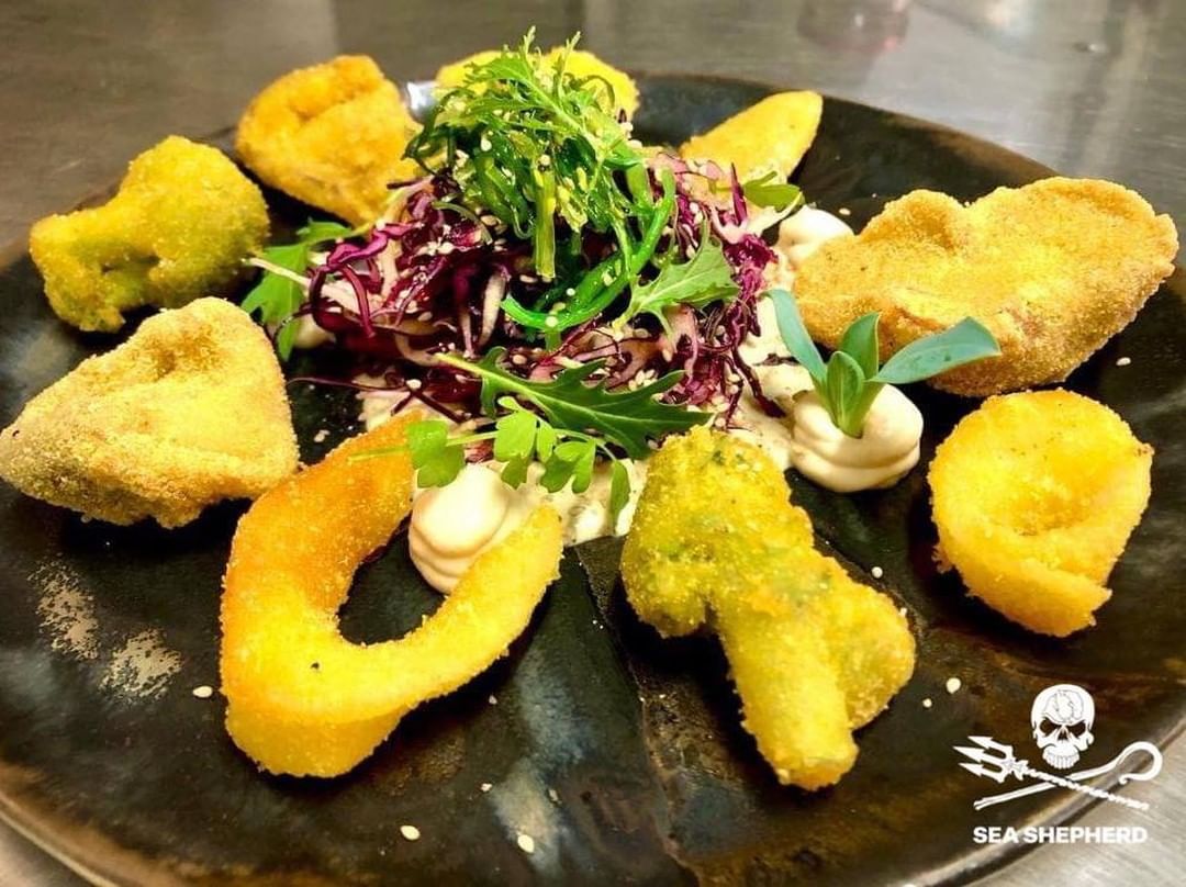 SeaShepherdIta's tweet photo. «Non si può salvare l'Oceano, divorandolo!» @CaptPaulWatson
#DolphinWeek🐬4 ristoranti in Toscana hanno dedicato dei piatti vegani proprio ai delfini e parte del ricavato verrà donato a #SeaShepherdItalia🏴☠️
Fonderia Gastro bistrot, Sottobosco bistrot, La Casina di Alice, #RAW https://t.co/t9Nmv5CH2B
