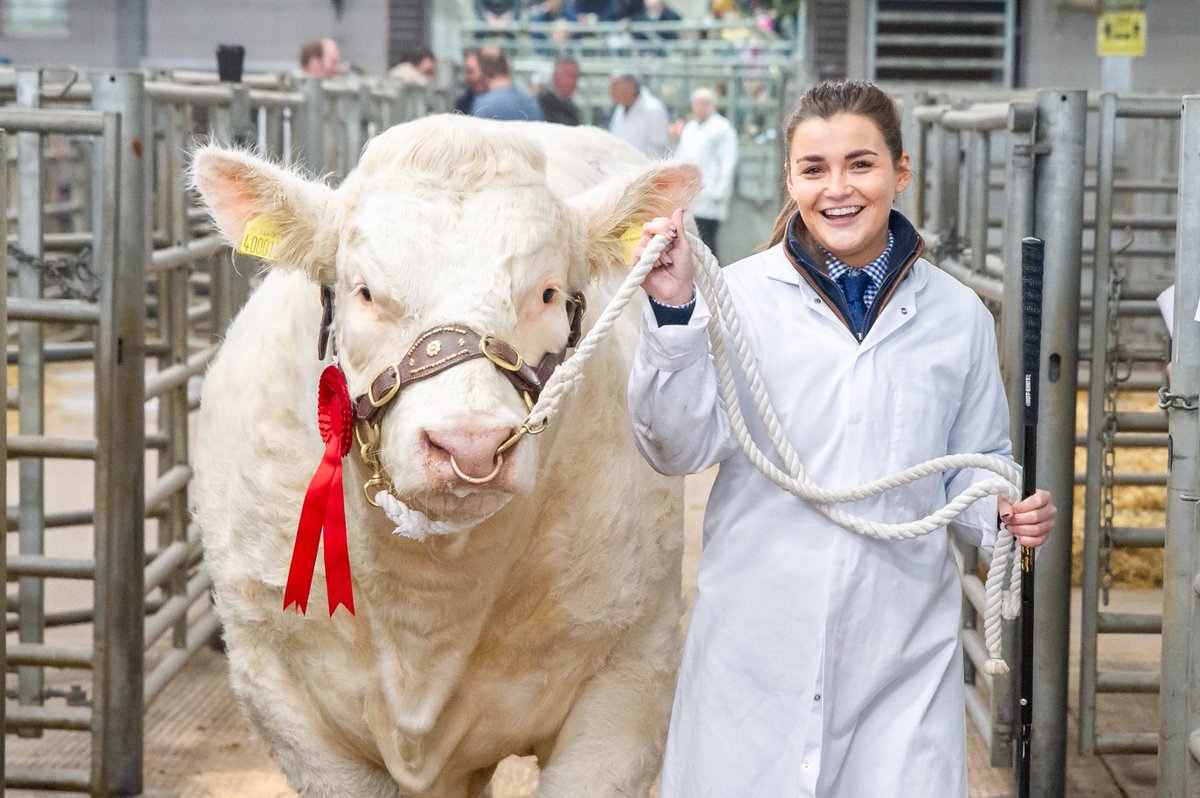 ‼️REMINDER: Charolais Cattle entries for Welshpool, April 2022 sale close Wednesday, 2nd March‼️

Please get in touch with either us or the society to request your entry forms. DNA must be complete or in progress at the lab at time of entry. <a href="/BritCharolais/">British Charolais</a> #Pedigree #Cattle